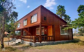 Labdhi Resorts Masinagudi- Stag Groups Not Allowed